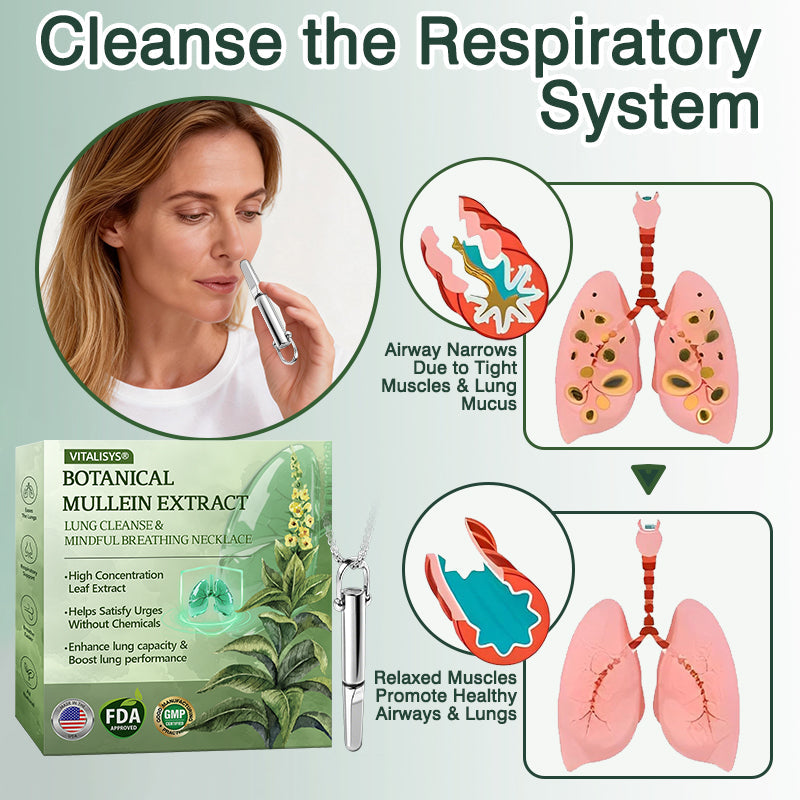 US Official Store✅𝐕𝒊𝒕𝗮𝗹𝐢𝐬𝐲𝐬® Botanical Mullein Extract Lung Cleanse & Mindful Breathing Necklace Whistle(👨‍⚕️Directly acts on COPD, asthma, chronic bronchitis (CB), respiratory infections, lung cancer, sinusitis, and other conditions)1💝