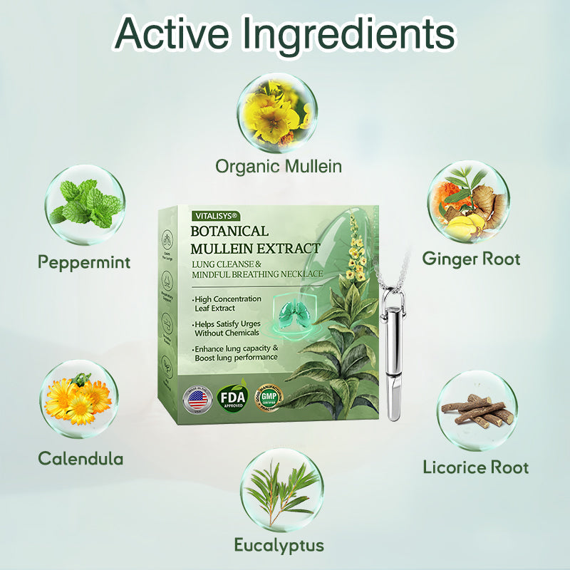 US Official Store✅𝐕𝒊𝒕𝗮𝗹𝐢𝐬𝐲𝐬® Botanical Mullein Extract Lung Cleanse & Mindful Breathing Necklace Whistle(👨‍⚕️Directly acts on COPD, asthma, chronic bronchitis (CB), respiratory infections, lung cancer, sinusitis, and other conditions)1💝
