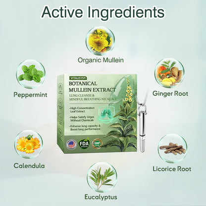US Official Store✅𝐕𝒊𝒕𝗮𝗹𝐢𝐬𝐲𝐬® Botanical Mullein Extract Lung Cleanse & Mindful Breathing Necklace Whistle(👨‍⚕️Directly acts on COPD, asthma, chronic bronchitis (CB), respiratory infections, lung cancer, sinusitis, and other conditions)1💝